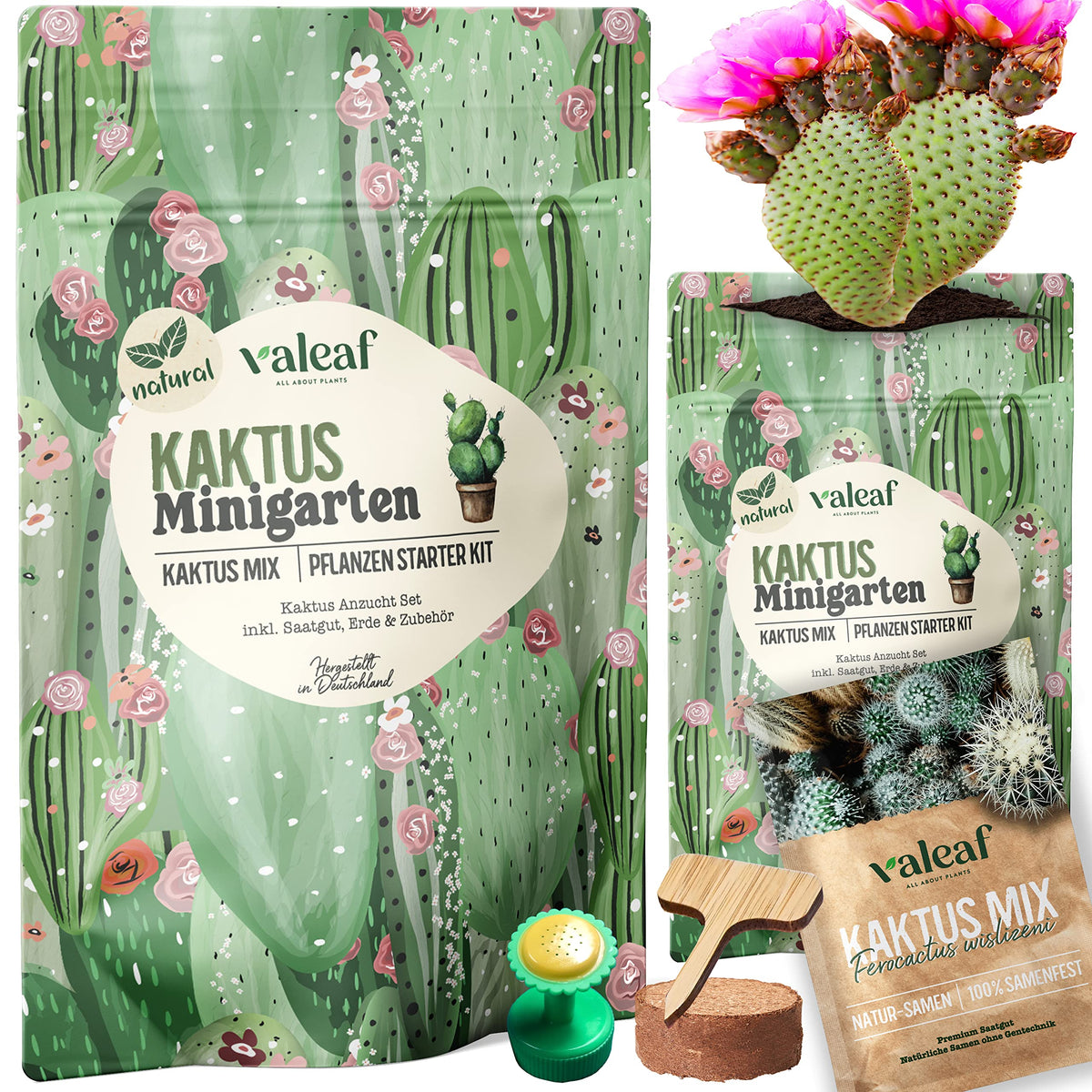 Kaktus Samen – Anzuchtset