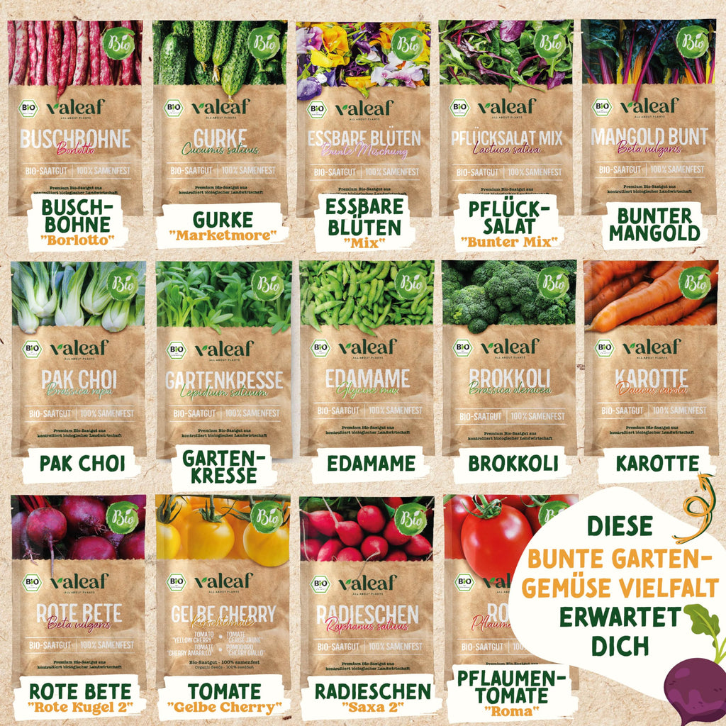BIO Gemüse Samen Set