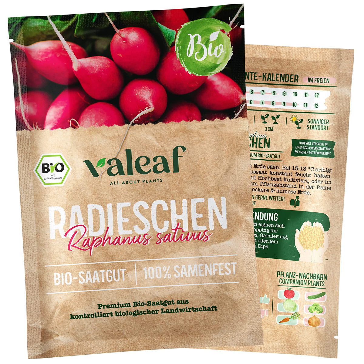 BIO Gemüse Samen – Einzeltütchen – Radieschen