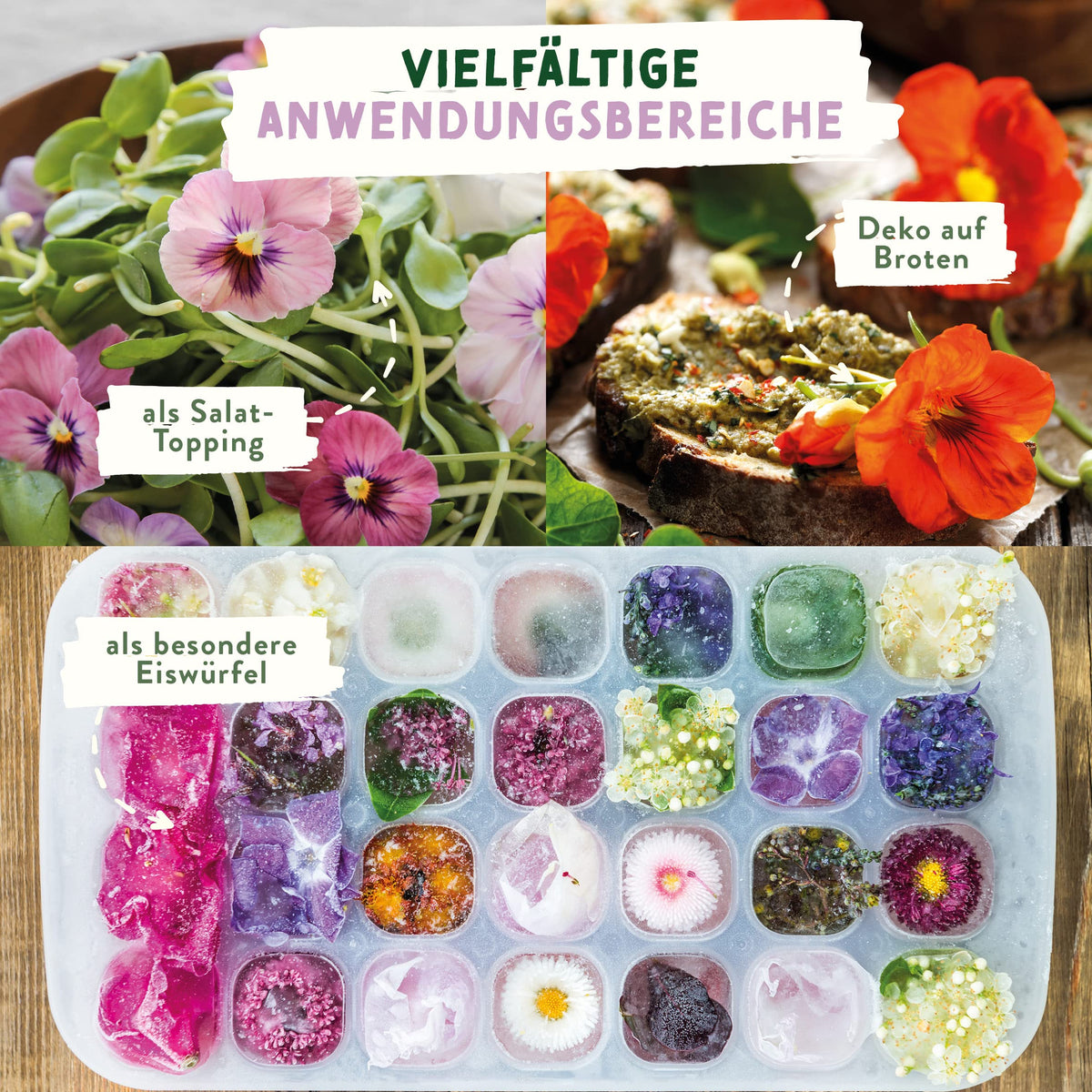 BIO Kräuter Samen – Einzeltütchen