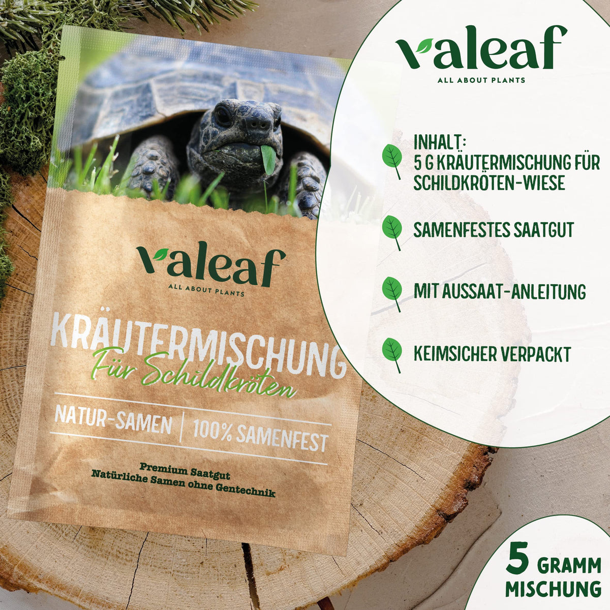 Schildkröten Samenmischung