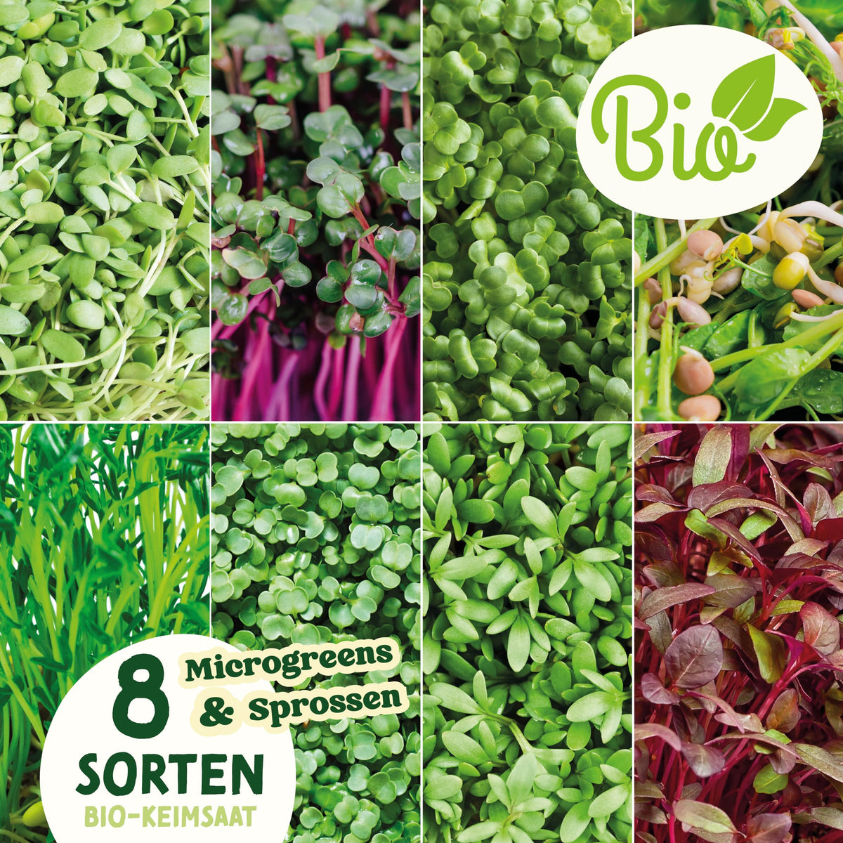 BIO Microgreens Set
