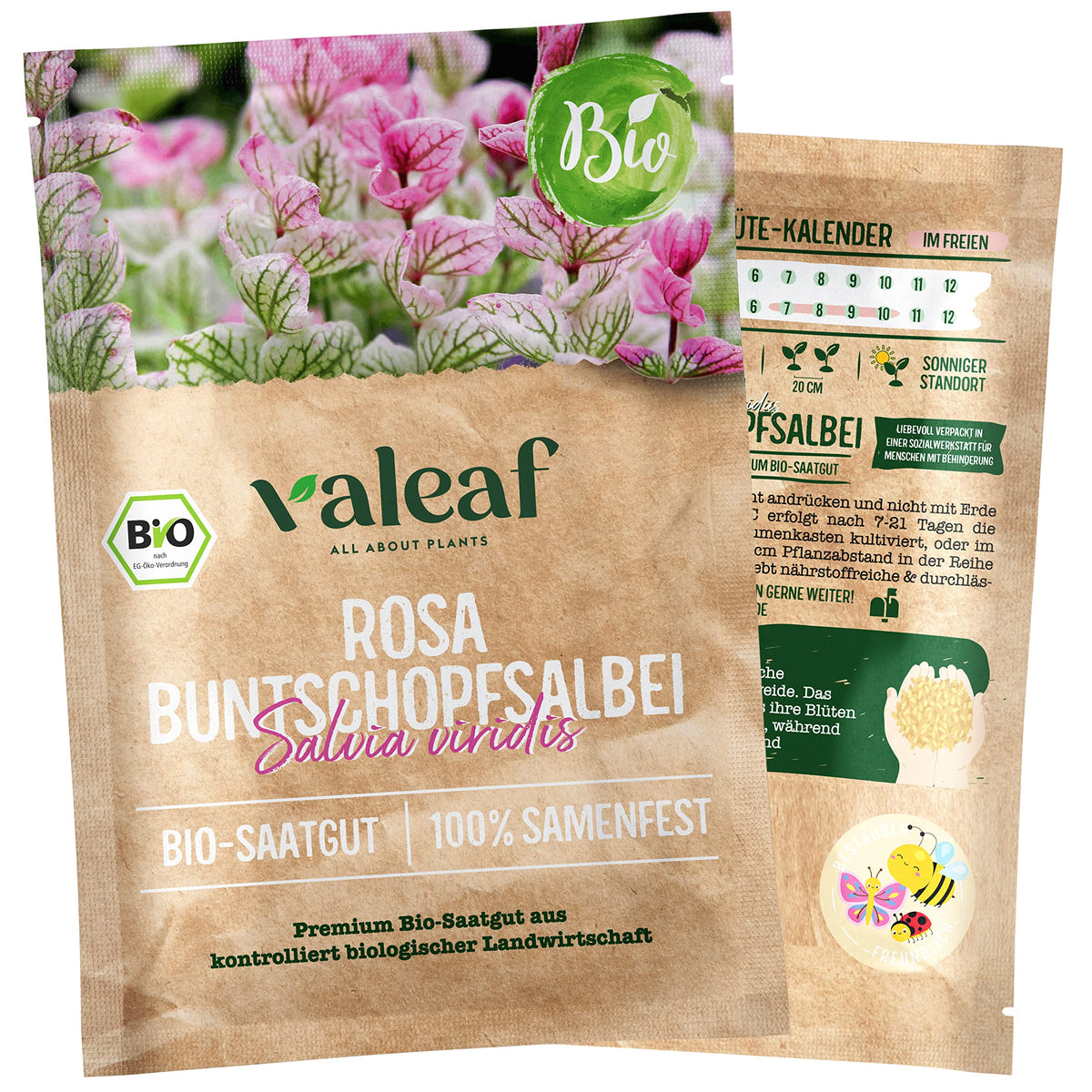 BIO Wildblumen Samen – Einzeltütchen – Buntschopfsalbei