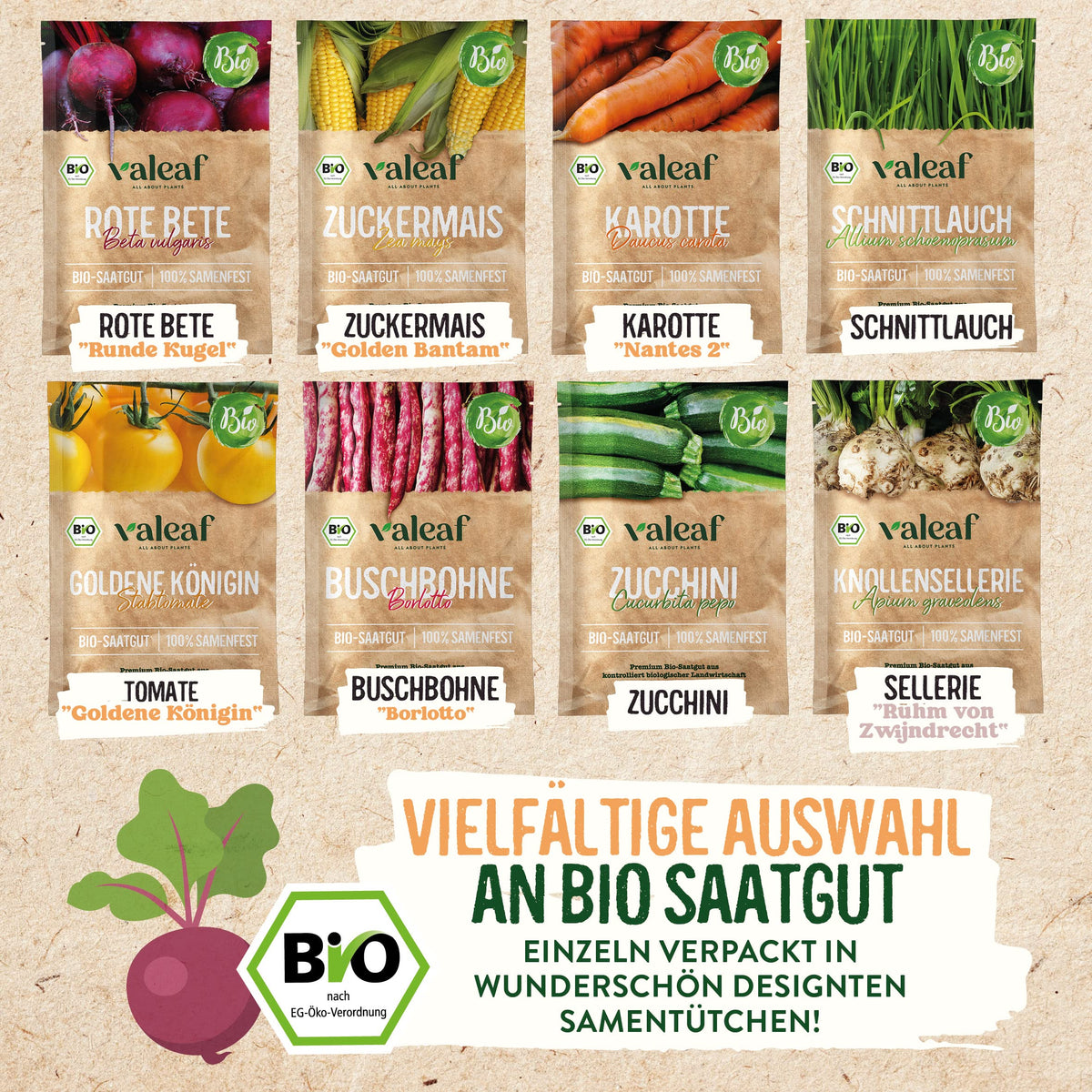 BIO Mini Gemüse Samen Set