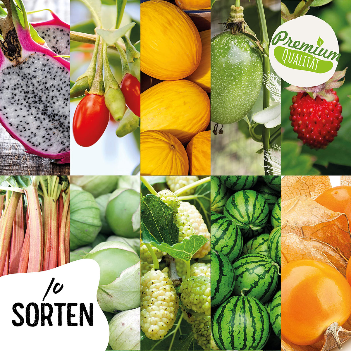 Obst Samen Set