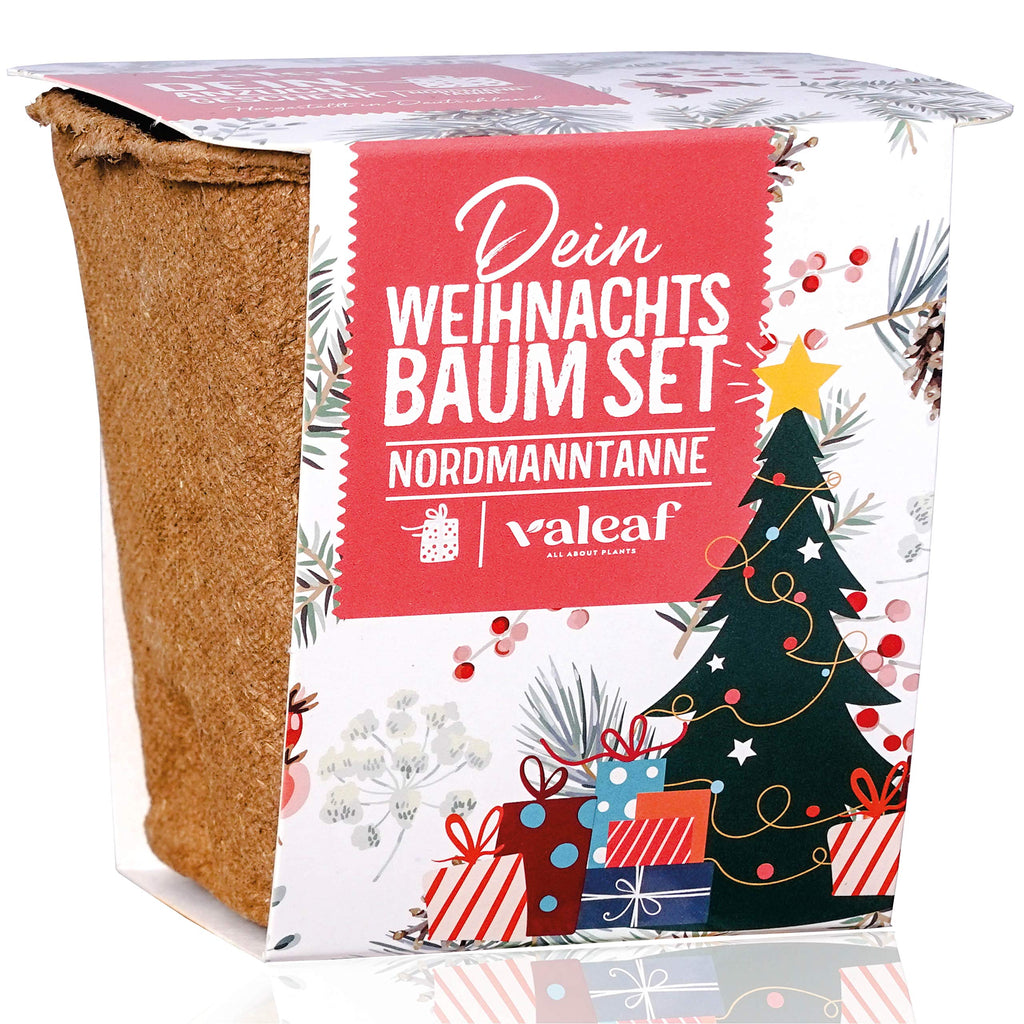 Weihnachtsbaum aus der Dose