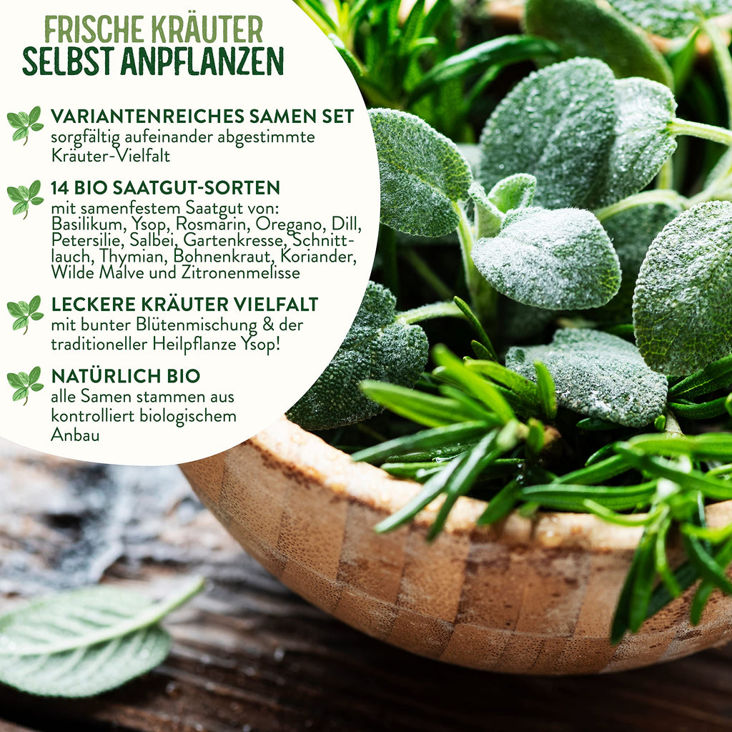 BIO Kräuter Samen Set
