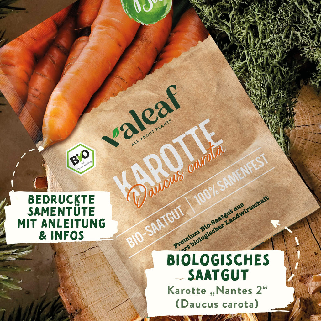 BIO Gemüse Samen – Einzeltütchen
