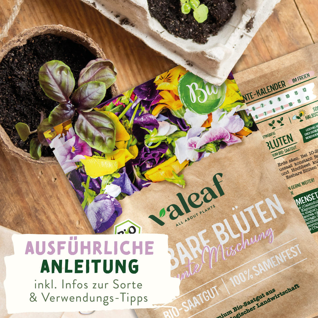 BIO Kräuter Samen – Einzeltütchen