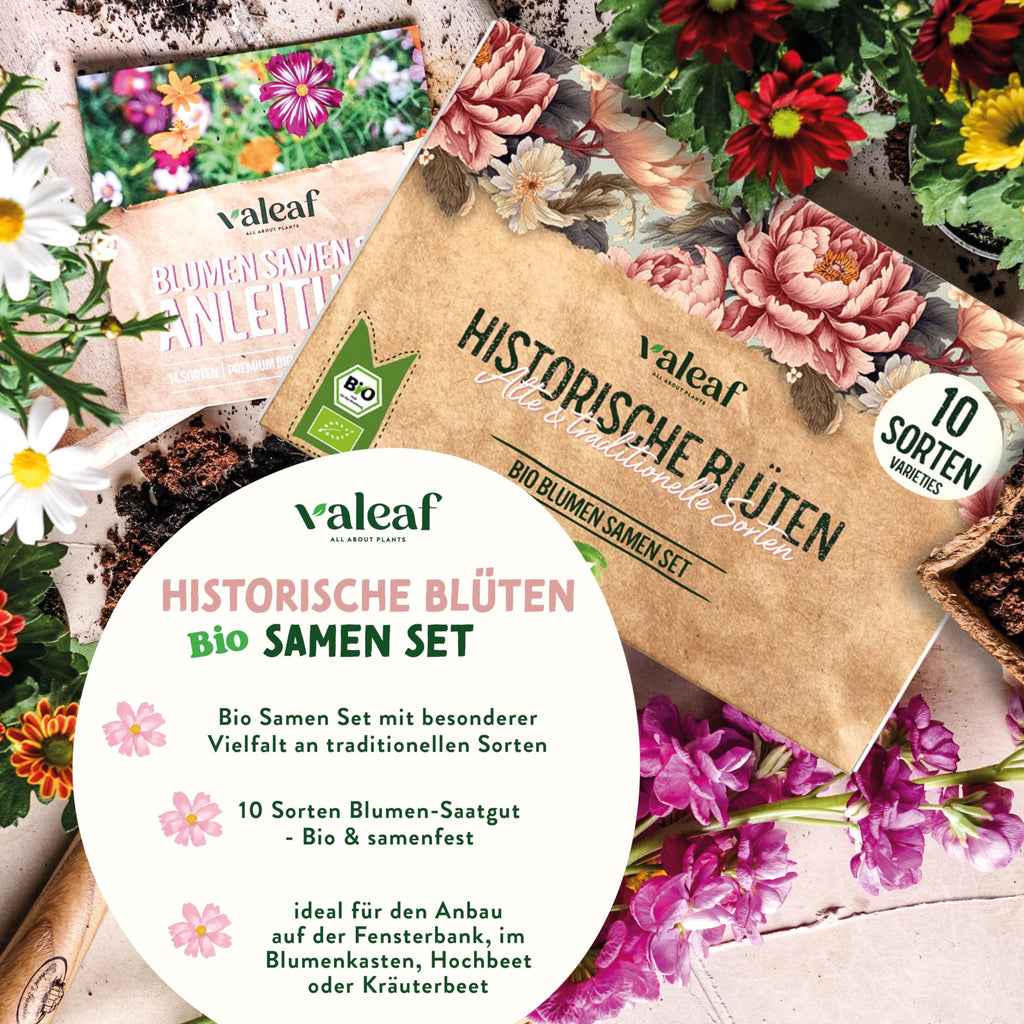 BIO Historische Blumen Samen Set