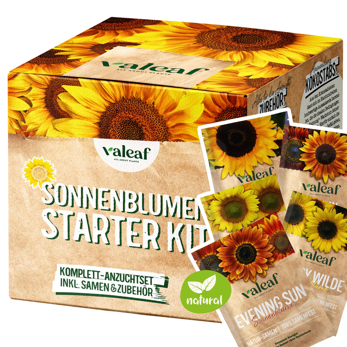 Sonnenblumen Samen Set – Starter-Set