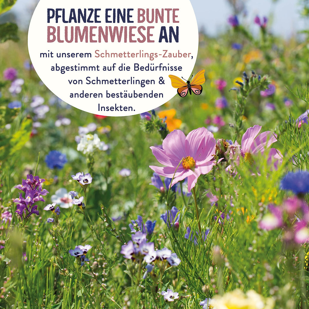 Schmetterlingswiese Samen
