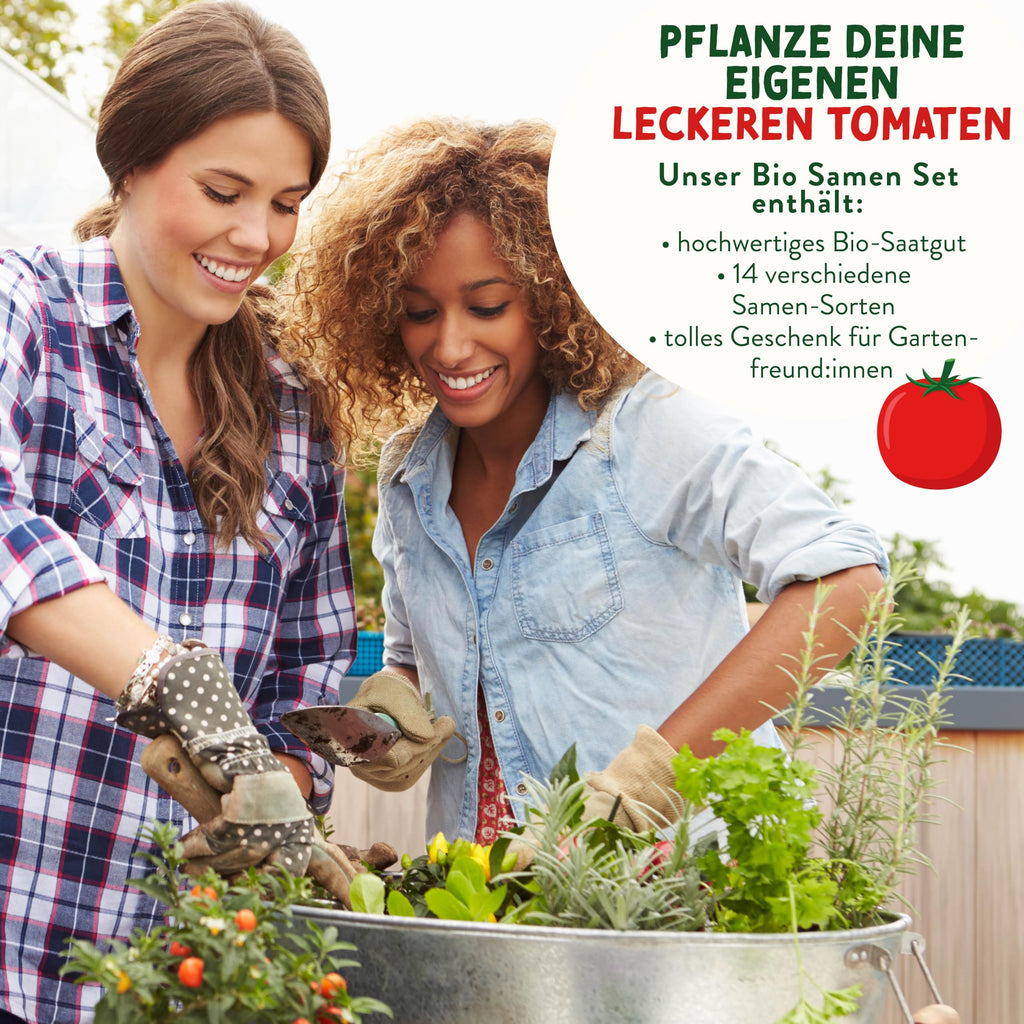 BIO Tomaten Samen Set