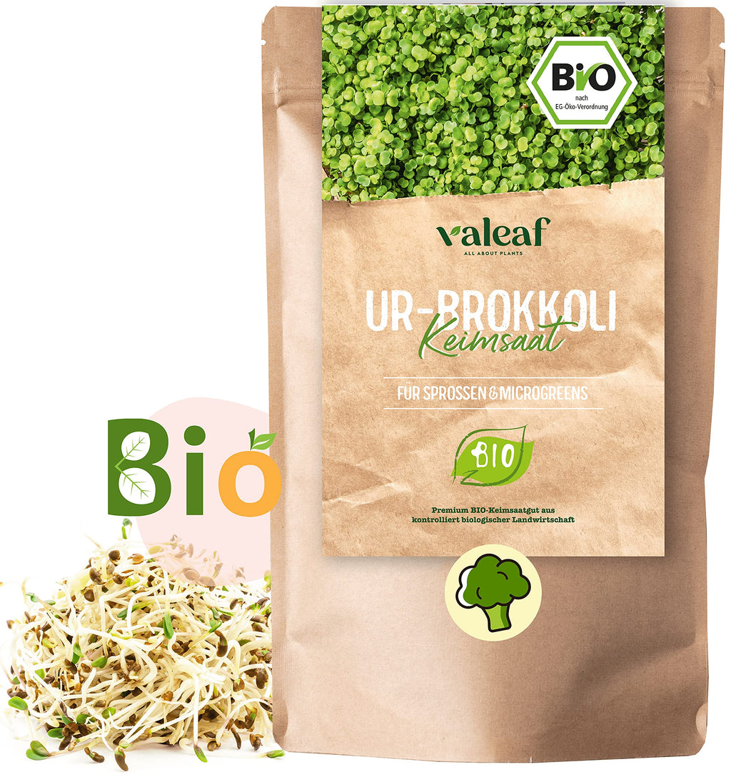 BIO Brokkoli Keimsaat