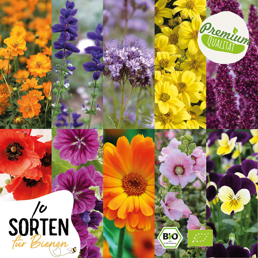BIO Wilde Blumen Samen Set