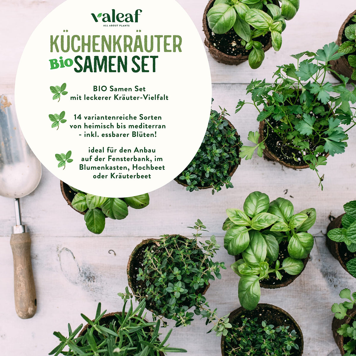 BIO Kräuter Samen Set