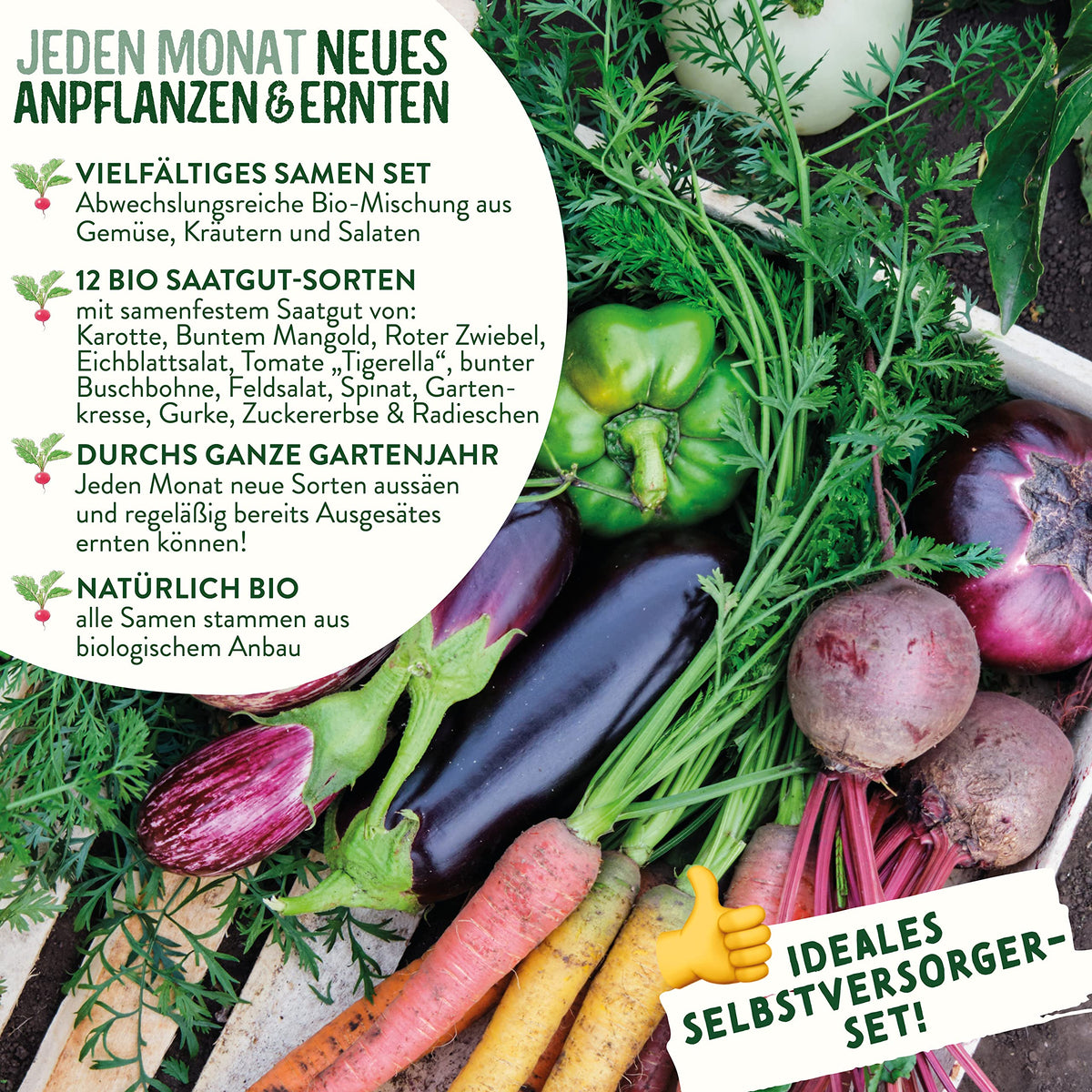 BIO Gartenjahr Samen Set
