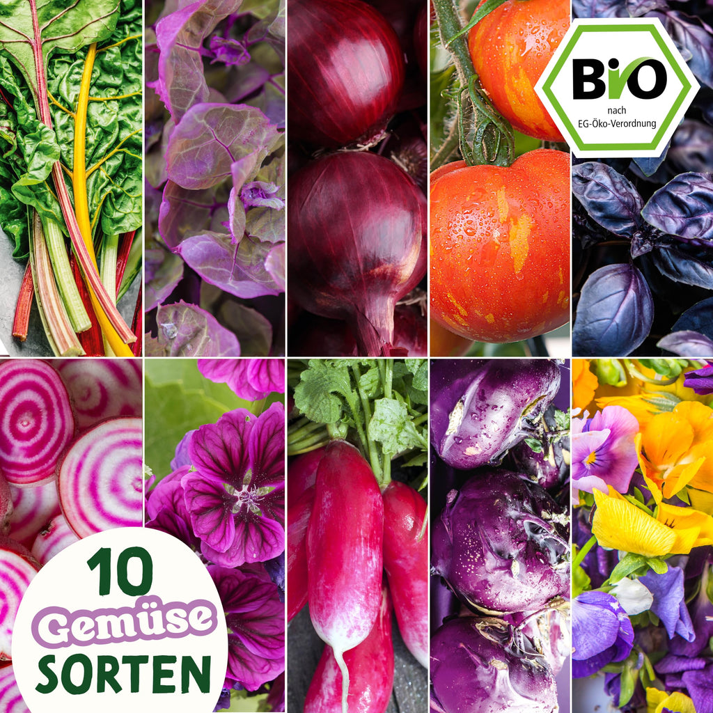 BIO Verrücktes Gemüse Samen Set