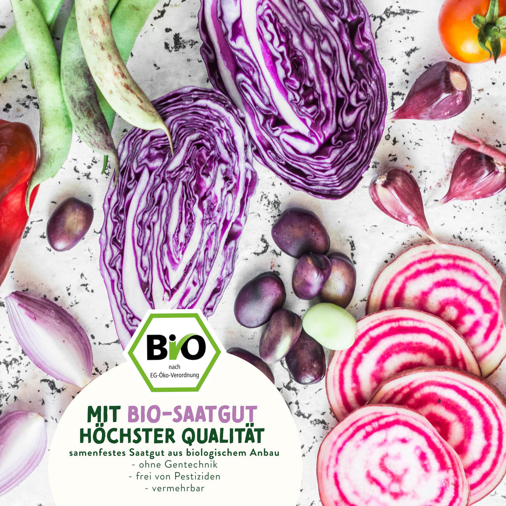 BIO Verrücktes Gemüse Samen Set