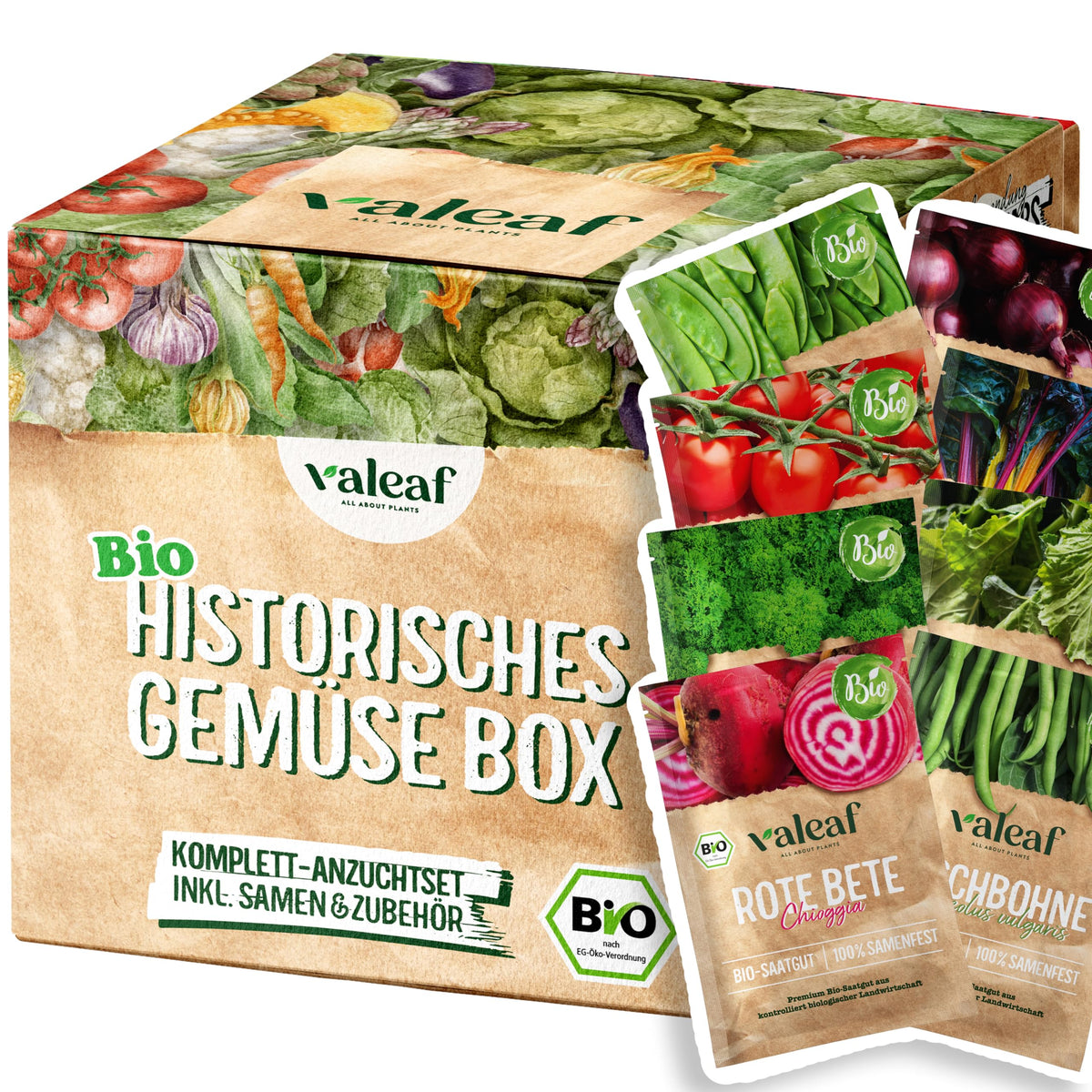 BIO Historisches Gemüse Samen Set – Starter-Set
