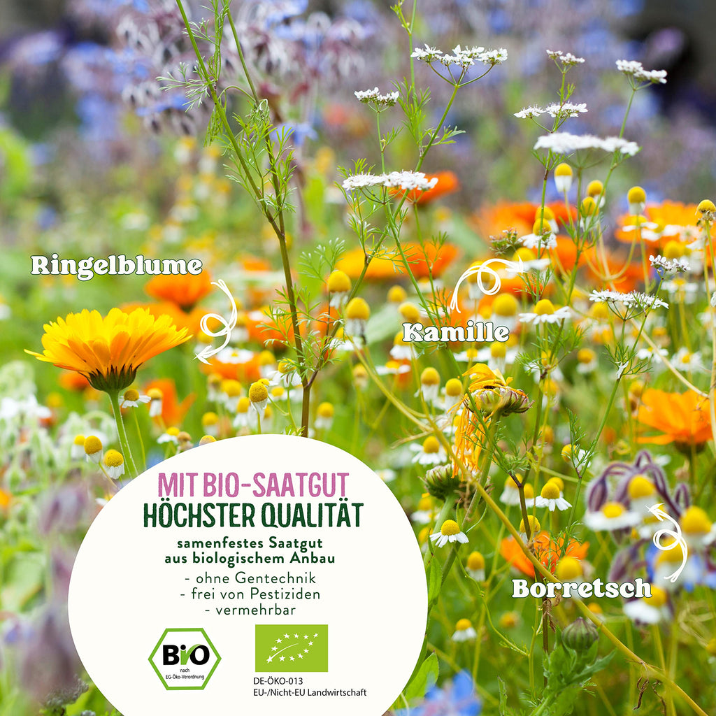 BIO Essbare Blüten Samen Set