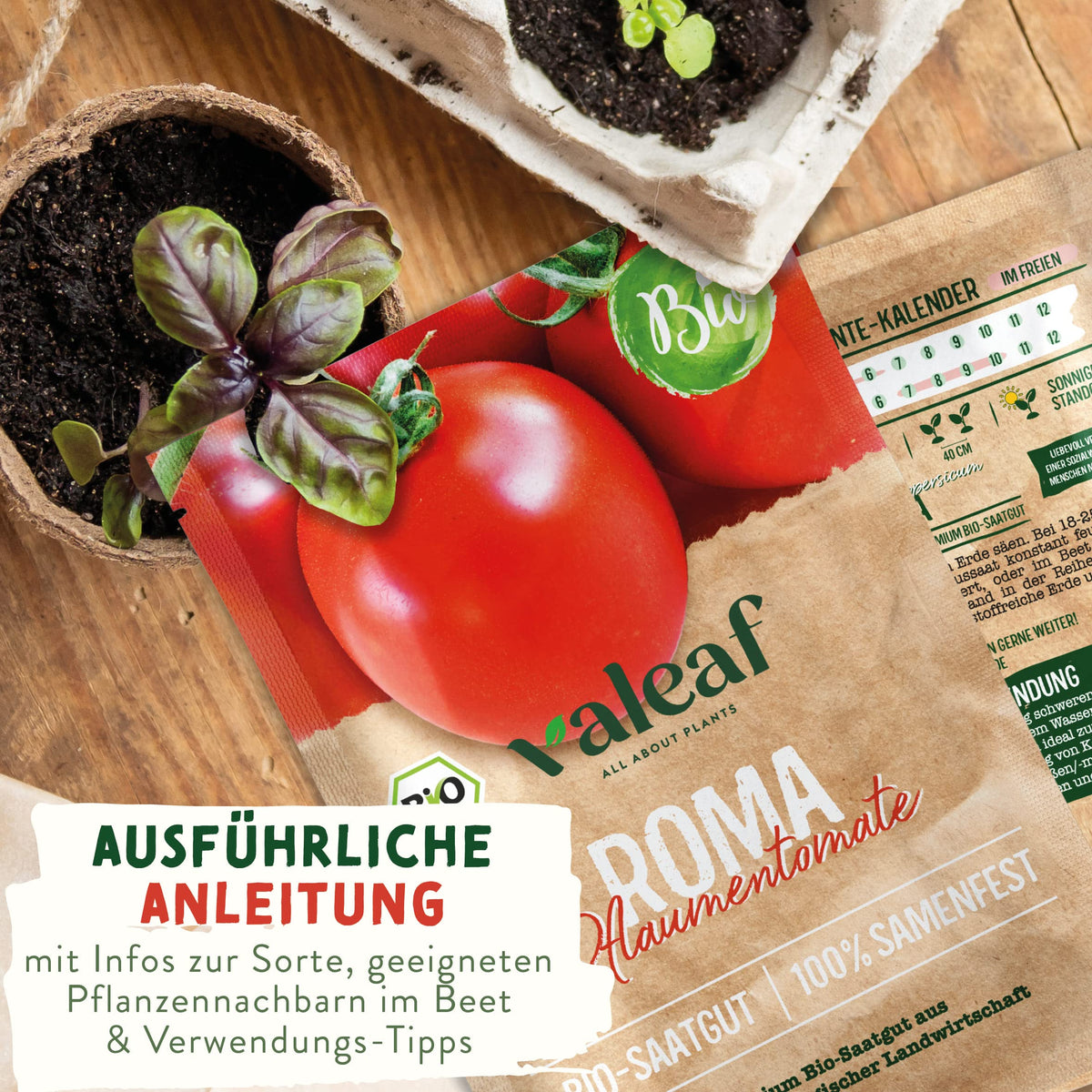 BIO Tomaten Samen – Einzeltütchen