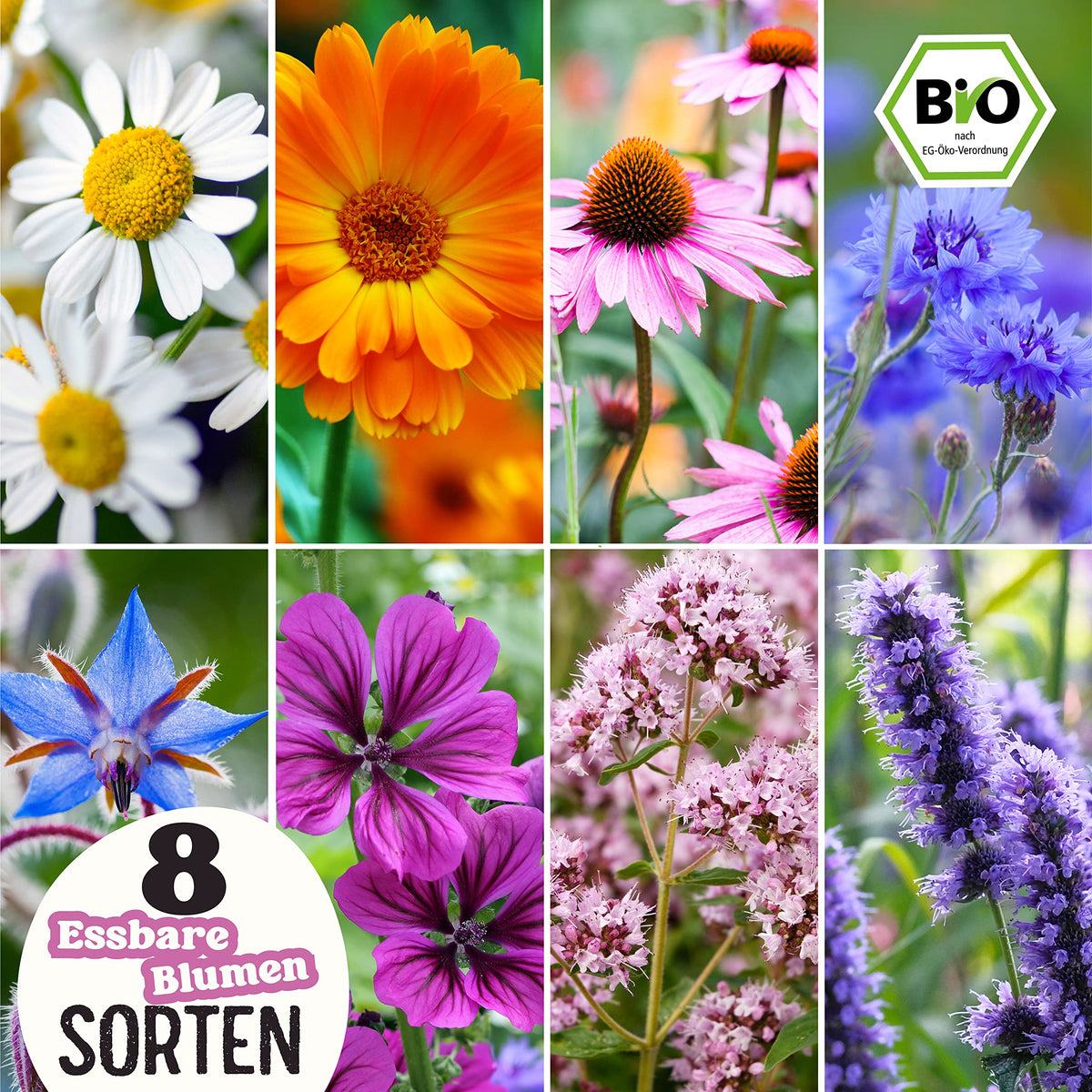 BIO Essbare Blüten Samen Set