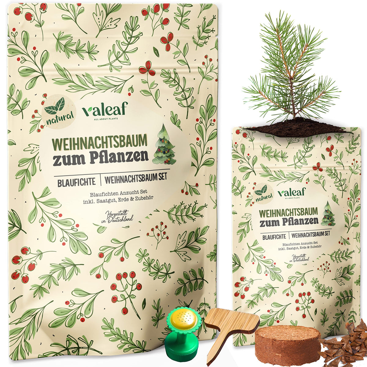 Weihnachtsbaum aus der Dose – Blaufichte – Design 3