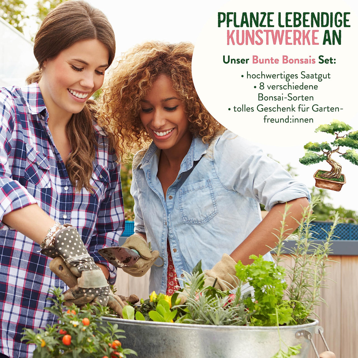 Bunte Bonsai Samen Set