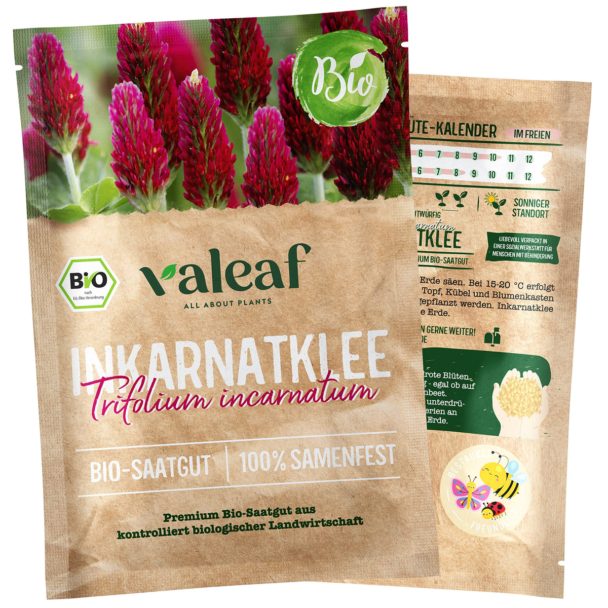 BIO Wildblumen Samen – Einzeltütchen – Inkarnatklee