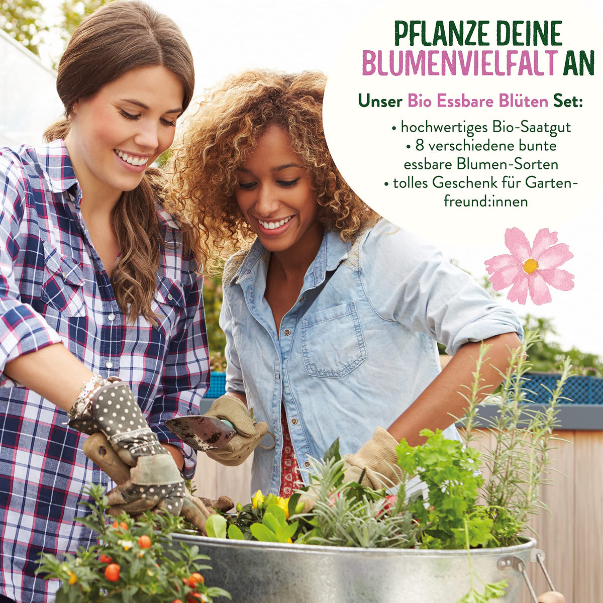 BIO Essbare Blüten Samen Set
