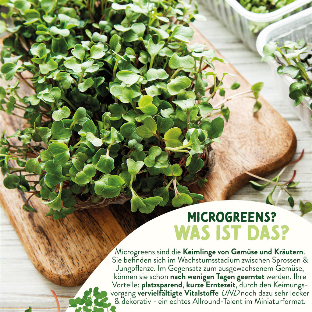 BIO Microgreens Set