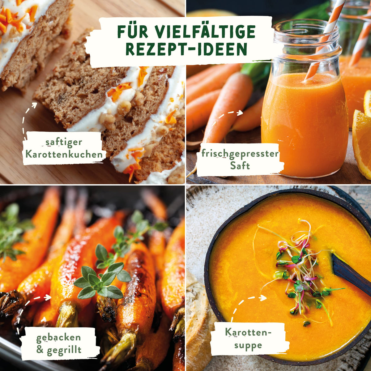 BIO Gemüse Samen – Einzeltütchen
