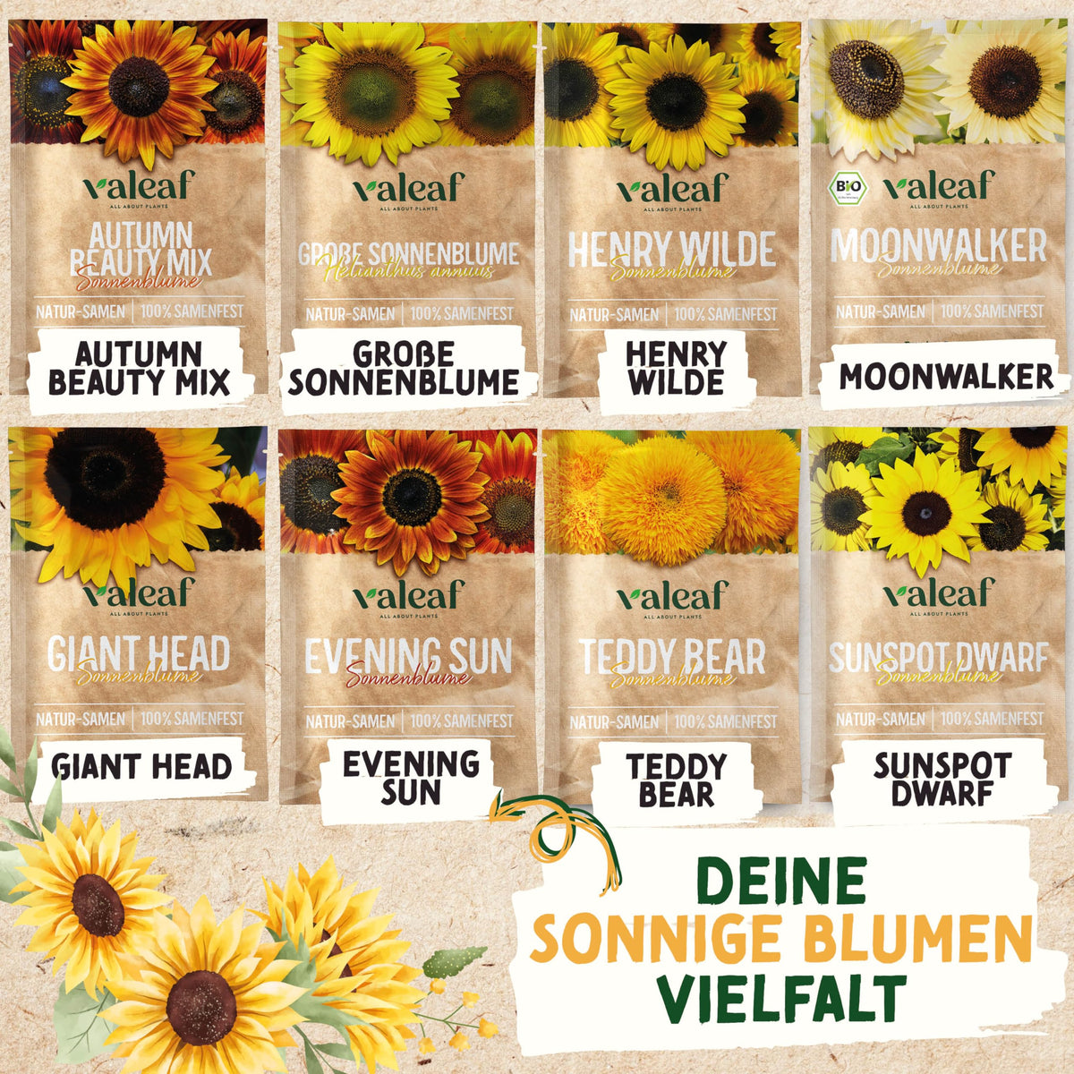Sonnenblumen Samen Set