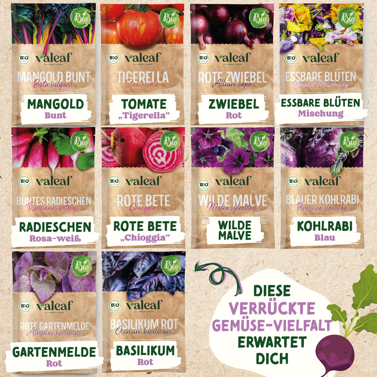 BIO Verrücktes Gemüse Samen Set