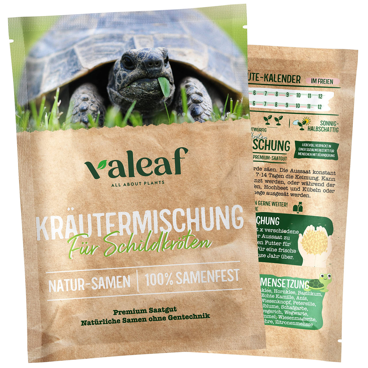 Schildkröten Samenmischung