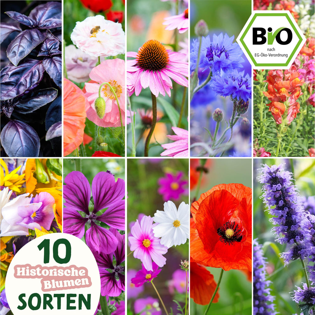 BIO Historische Blumen Samen Set
