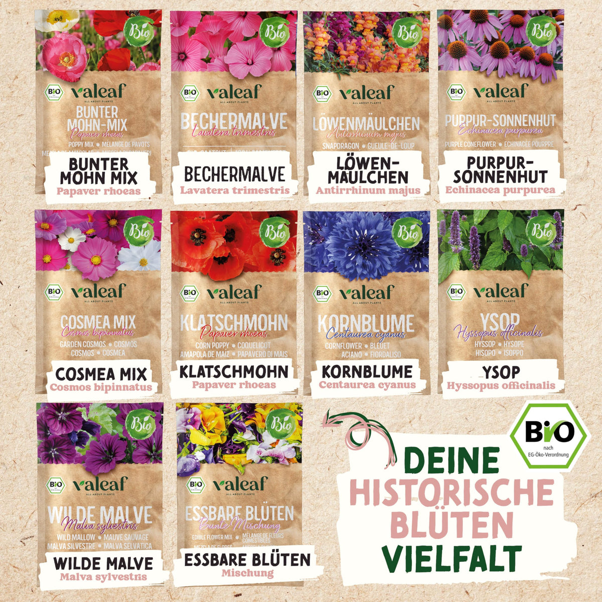 BIO Historische Blumen Samen Set