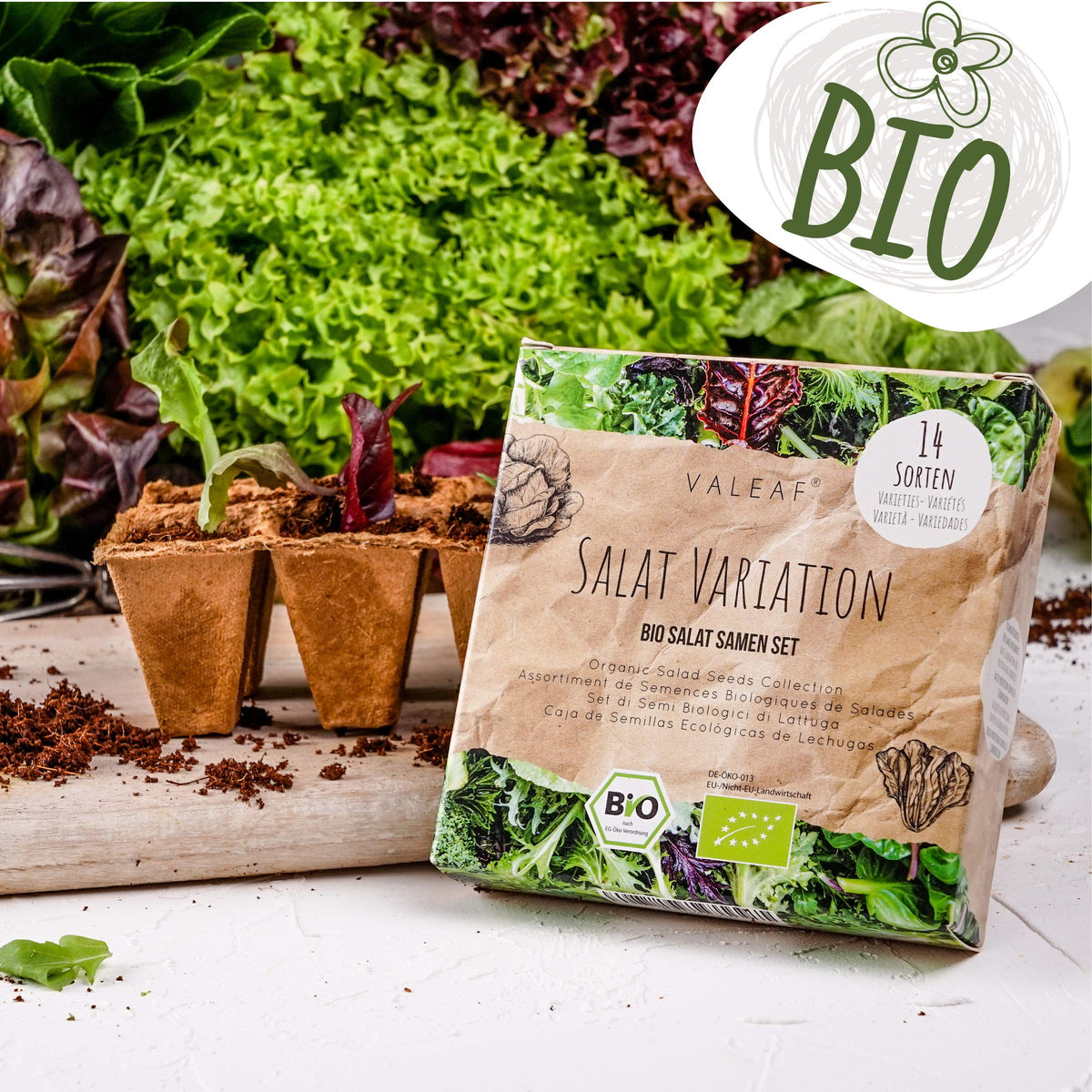 BIO Salat Samen Set