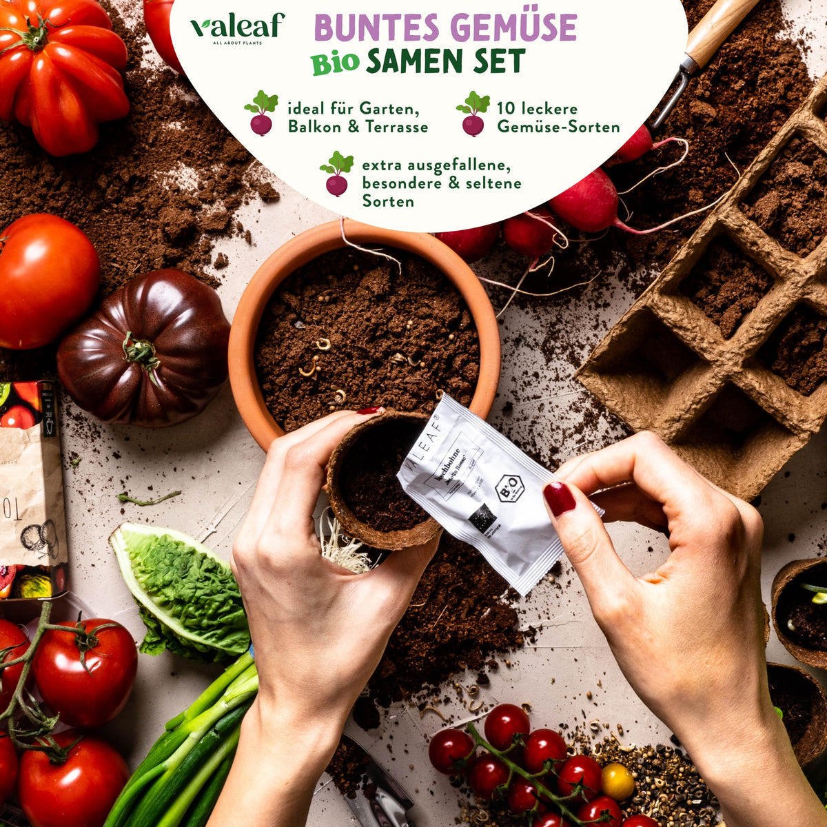 BIO Verrücktes Gemüse Samen Set