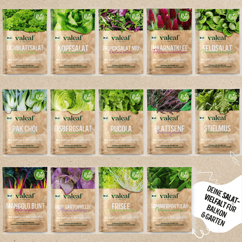 BIO Salat Samen Set