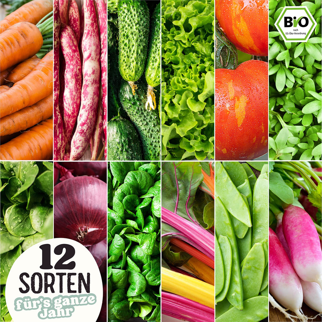 BIO Gartenjahr Samen Set