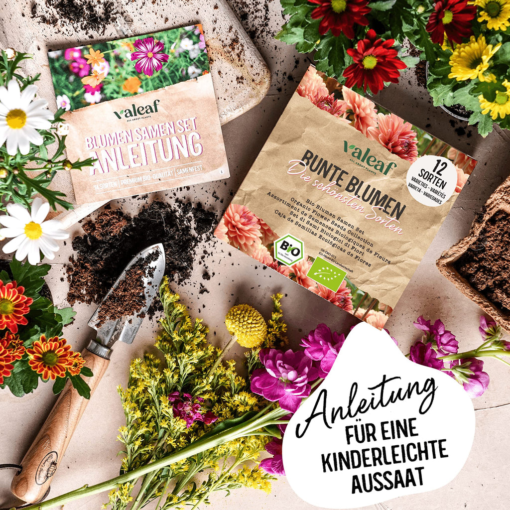 BIO Blumen Samen Set – Bunte Blumen