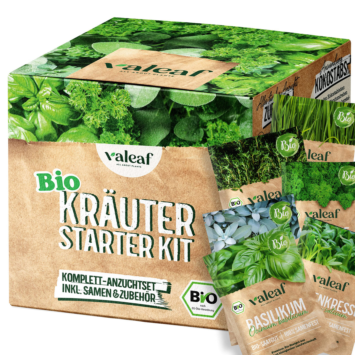 BIO Kräuter Samen Set – Starter-Set