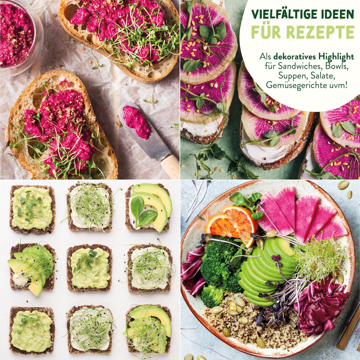 BIO Microgreens Set