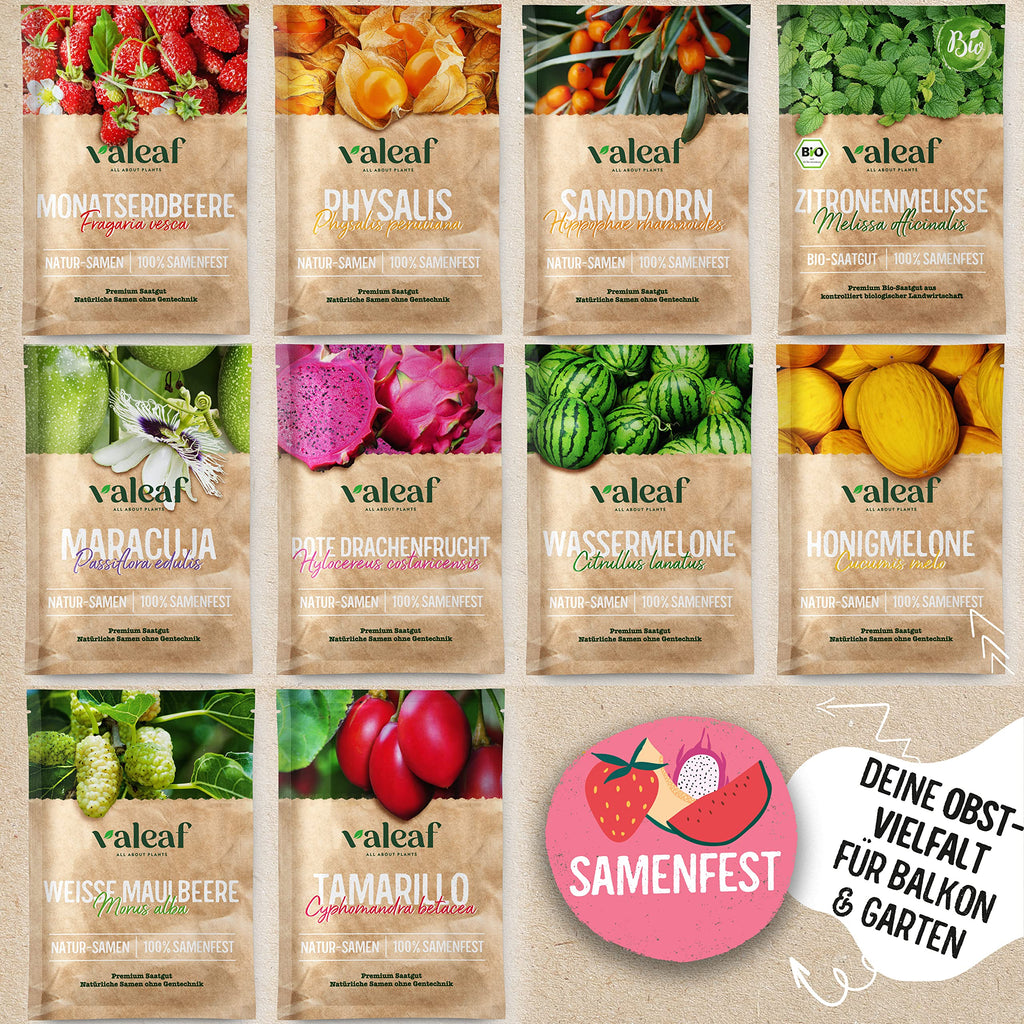 Obst Samen Set