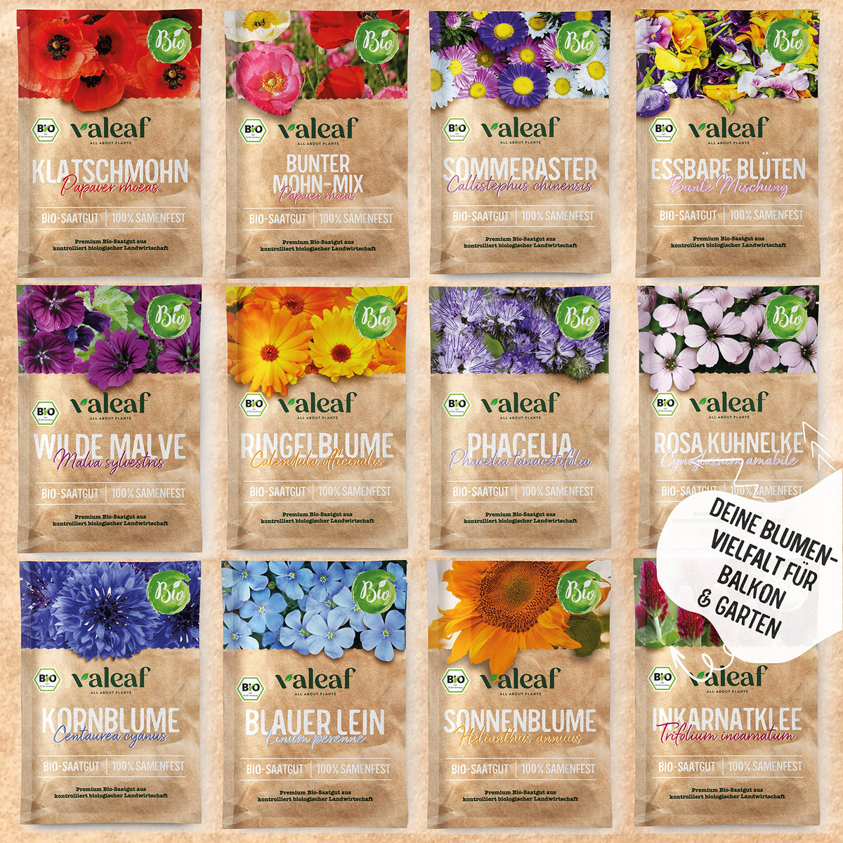 BIO Blumen Samen Set – Bunte Blumen