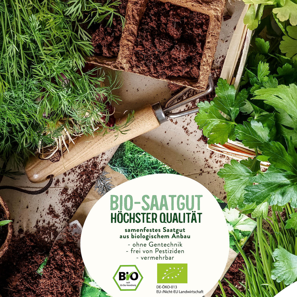 BIO Wildkräuter Samen Set