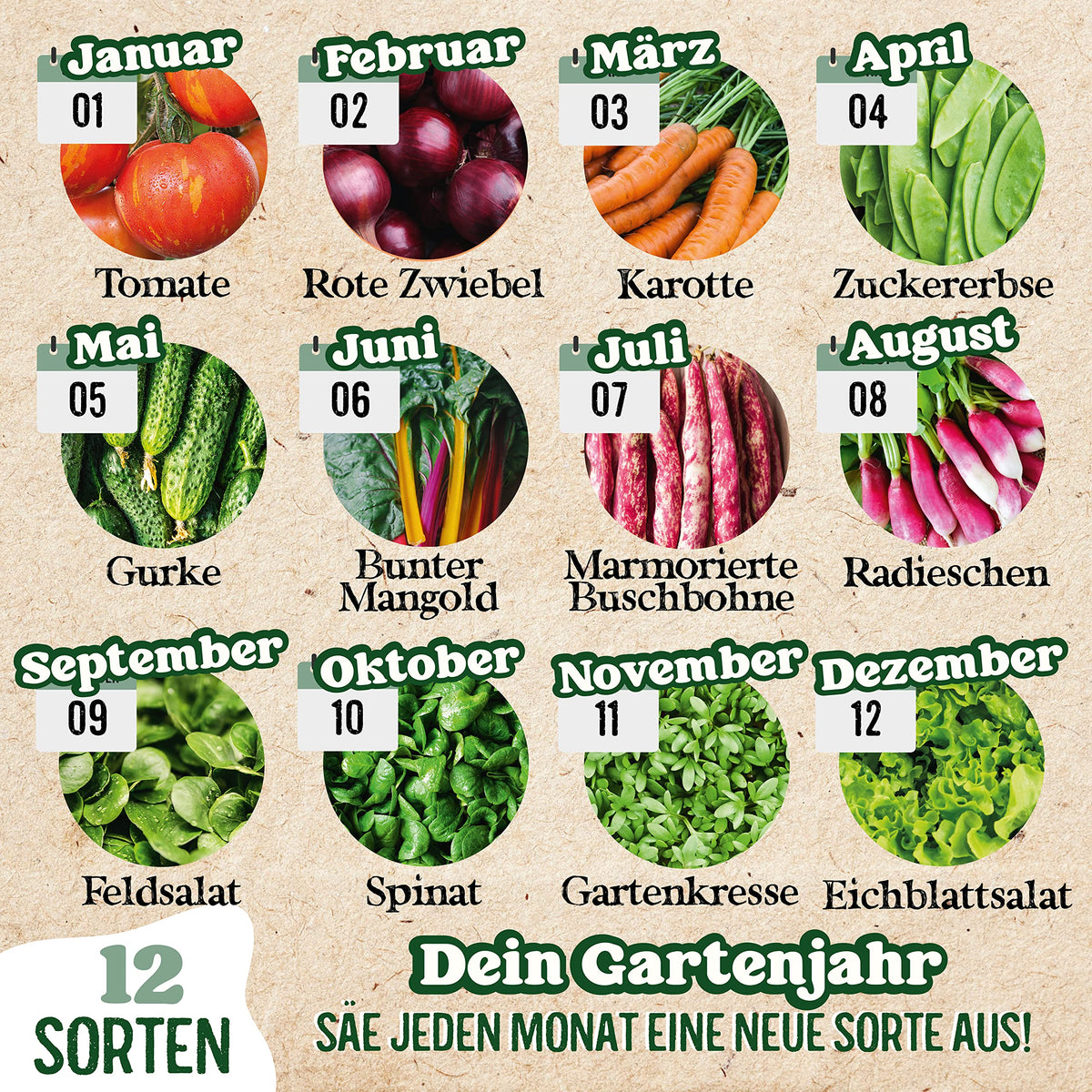 BIO Gartenjahr Samen Set