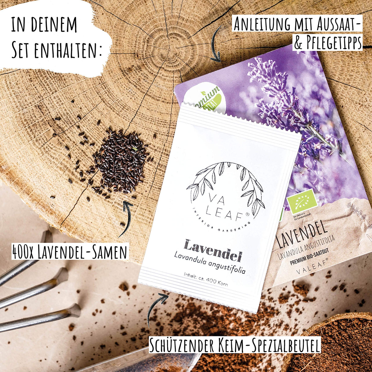 BIO Lavendel Samen